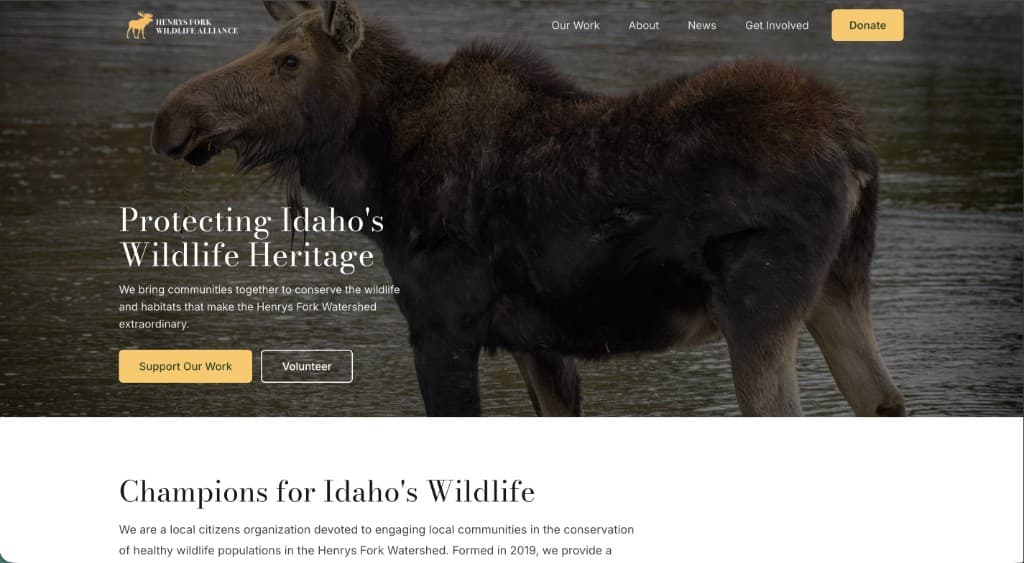 Redesigned HFWA homepage with transparent nav and clear hero