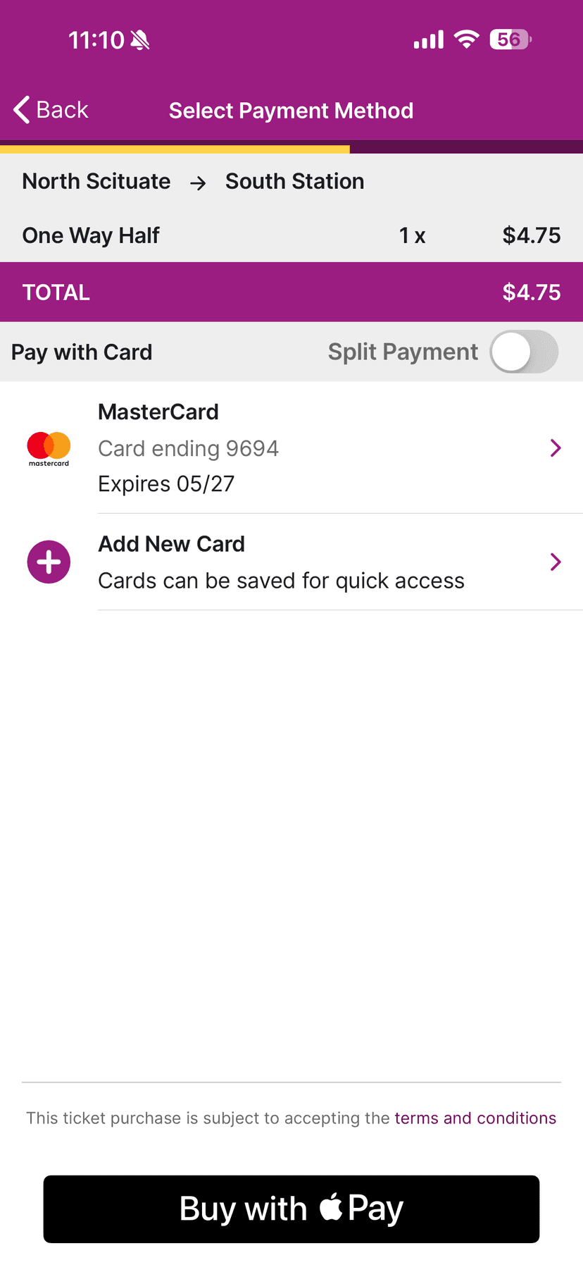 Payment screen with only Apple Pay
